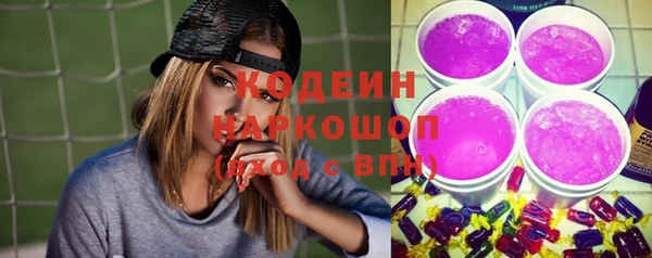прущий лед Арсеньев